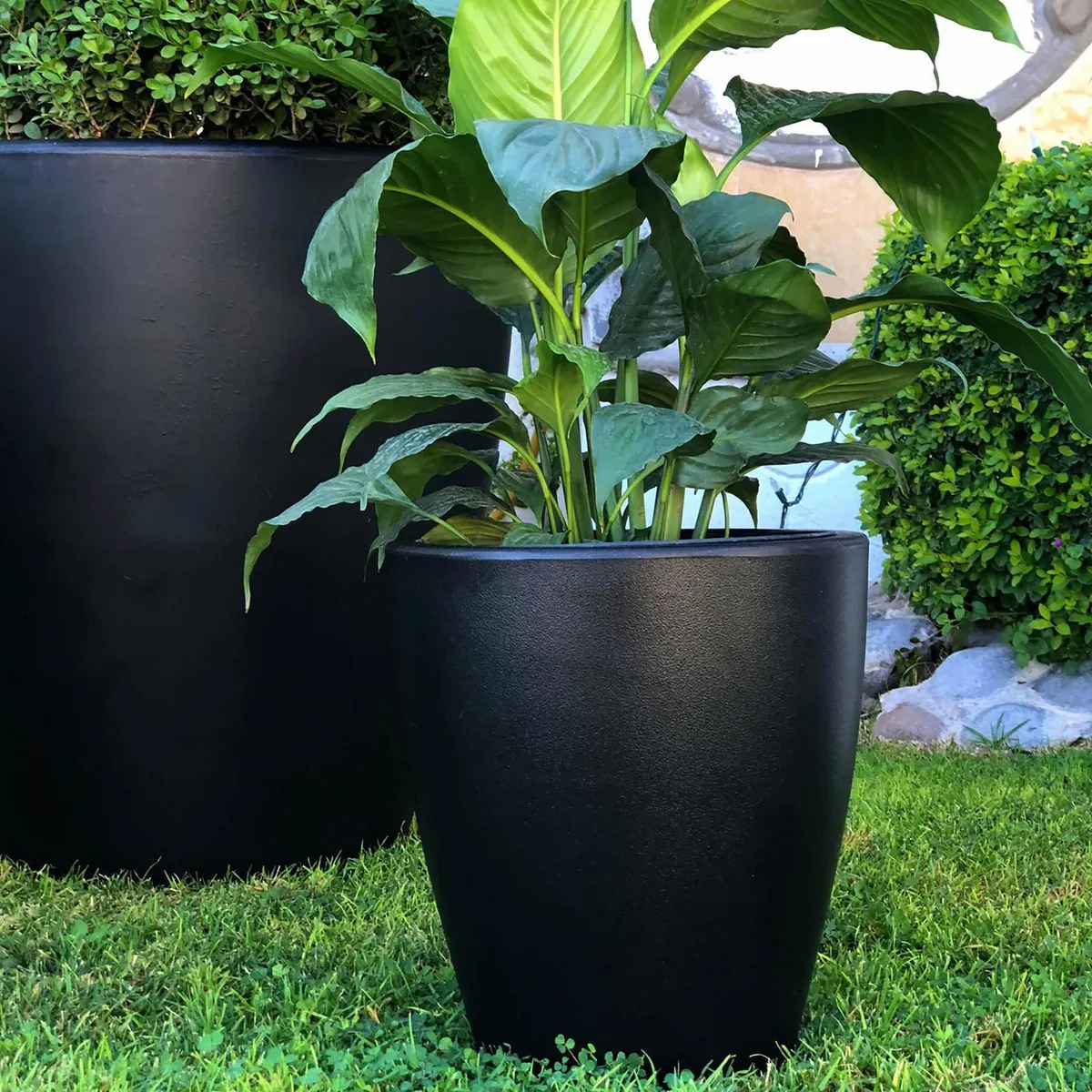 New Garden - Maceta Violeta negro 30x30x32 cm