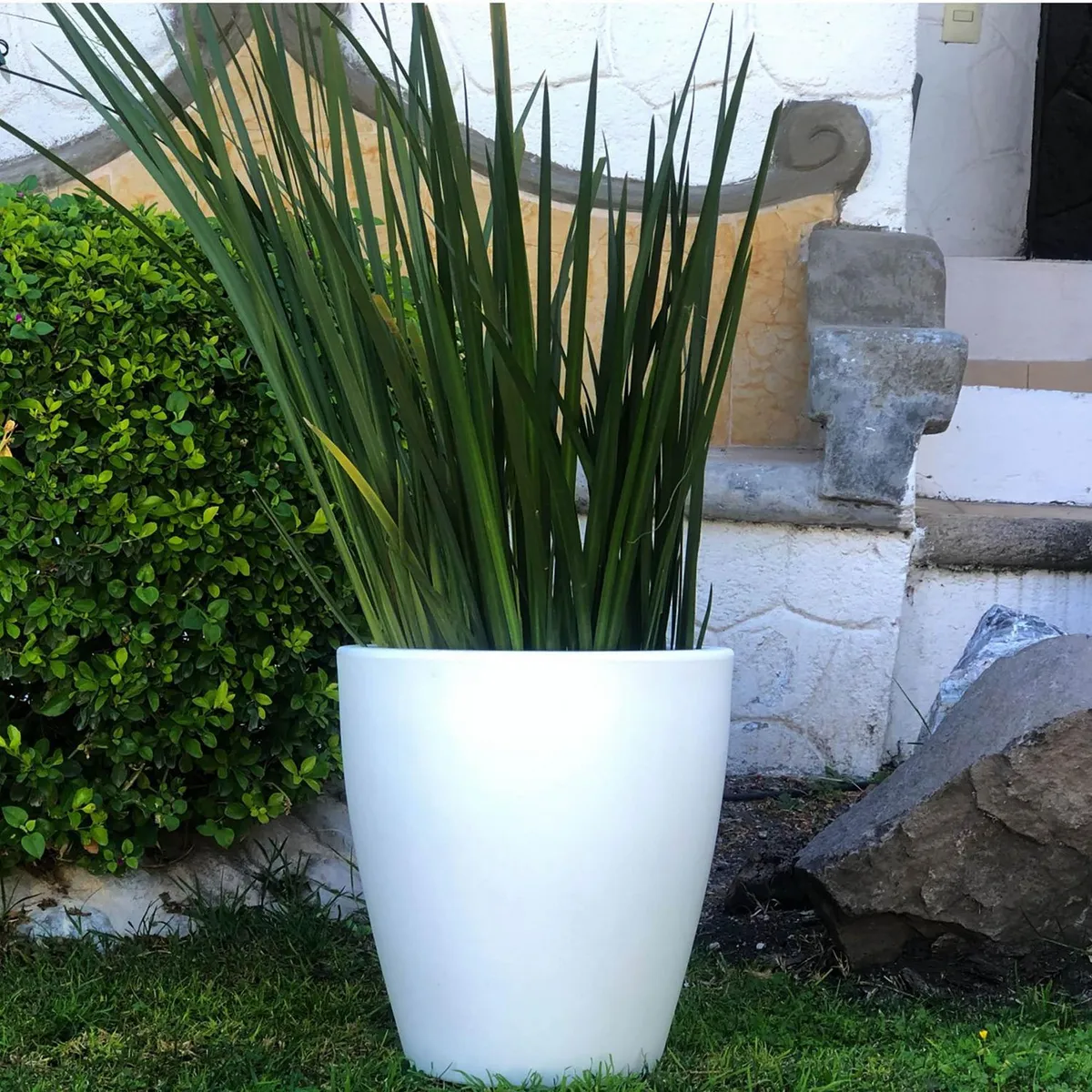 New Garden - Maceta Violeta Blanca 30 x 30 x 32 cm