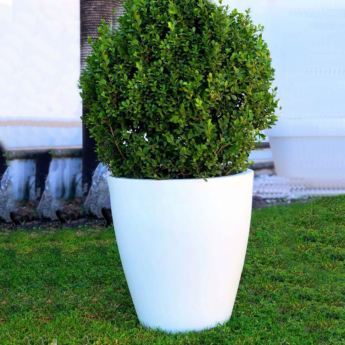 Maceta Violeta Blanca 40 x 40  x 43 cm, marca New Garden - Foto 2