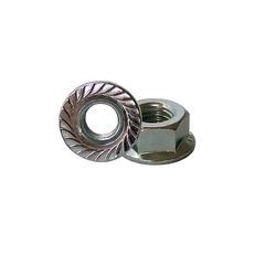 Tuer hex flanges 5/16x0 k 1pzs