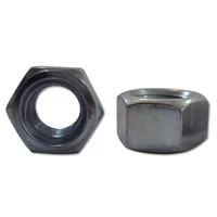 Tuerca hex galv 1/4x0 l 100pzs