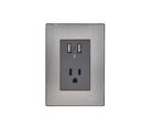Placa Inox Toma De 2 Usb De 2.1A Y 1Cont