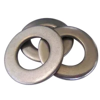 Rondana inoxidable 1/2x0 bp1 5pzs