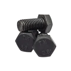 Tornillo hexagonal mm 6x55 bp1 2pzs