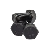 Tornillo hexagonal mm 10x30 bp1 2pzs