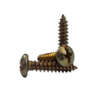 Pija fijadora lat 8x3/4 bp2 6pzs