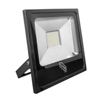 Reflector LED Slim para Exteriores de 30W Luz Fría