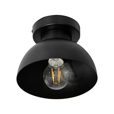 L�mpara de Techo Negro 1 Luz E27