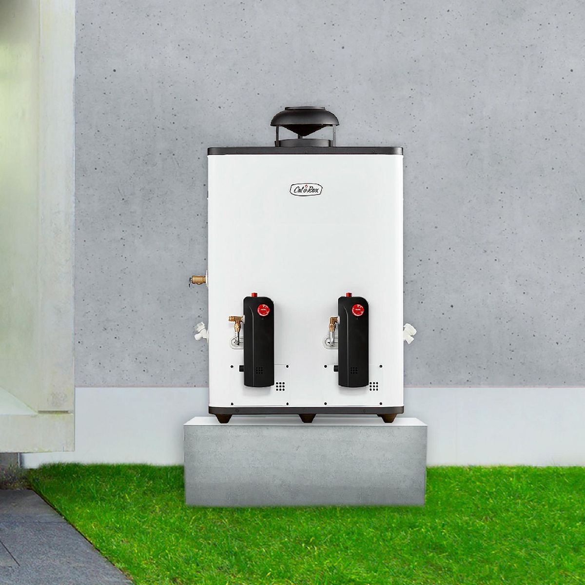 Calorex - Calorex Rápida Recuperación COXDP-20 Gas Lp