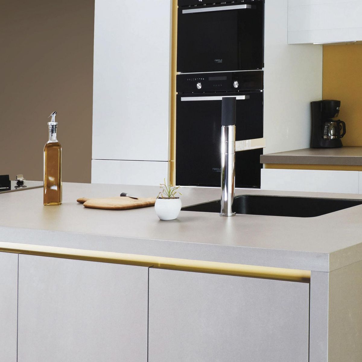 Conaplor - Planta Carnivora Drosera m03