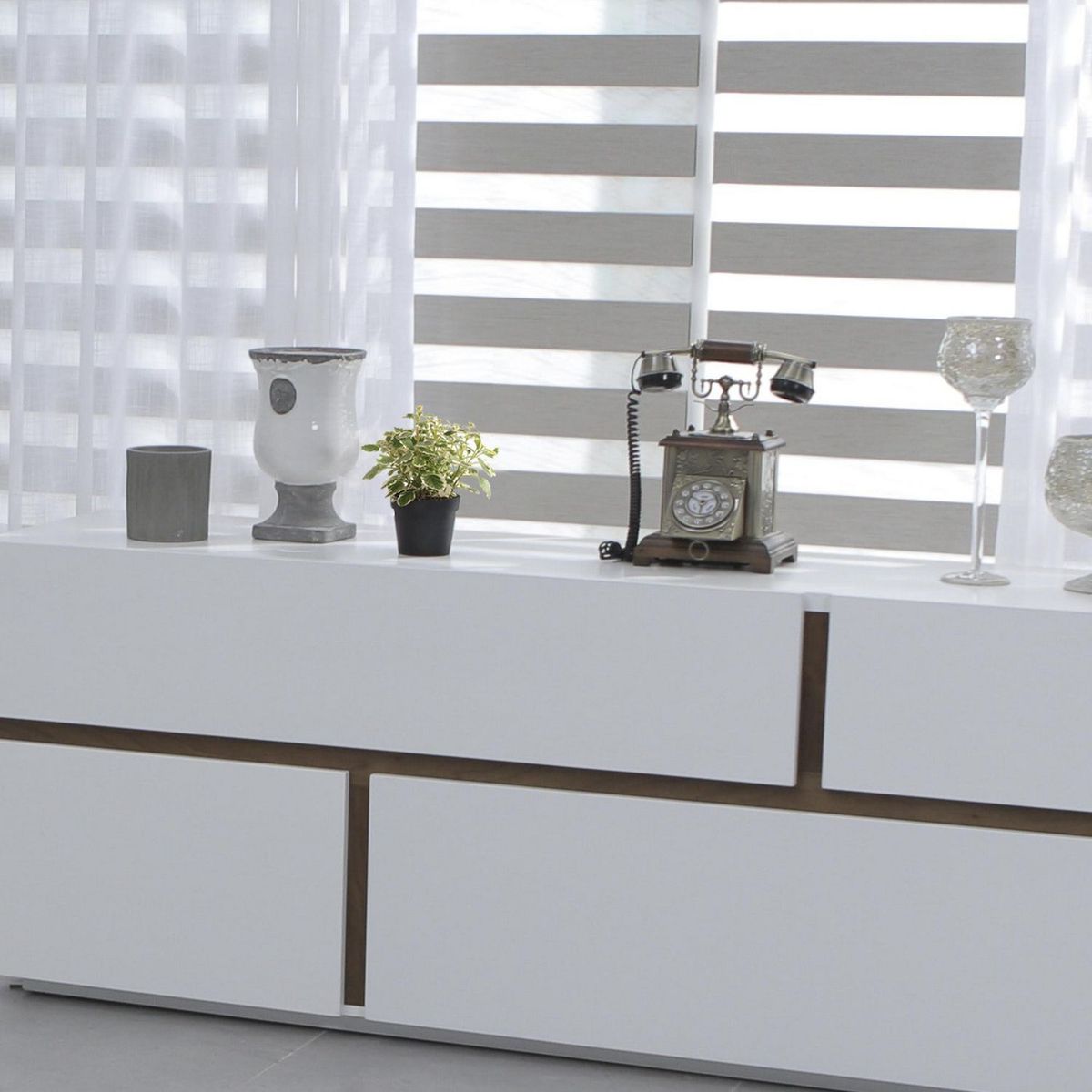 Conaplor - Planta Espantamoscas m06