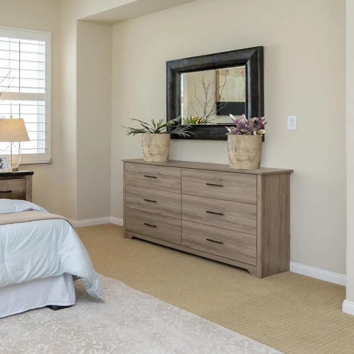 Conaplor - Planta Tradescantia Nanouk M6