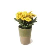 Planta decorativa margaritas amarillas
