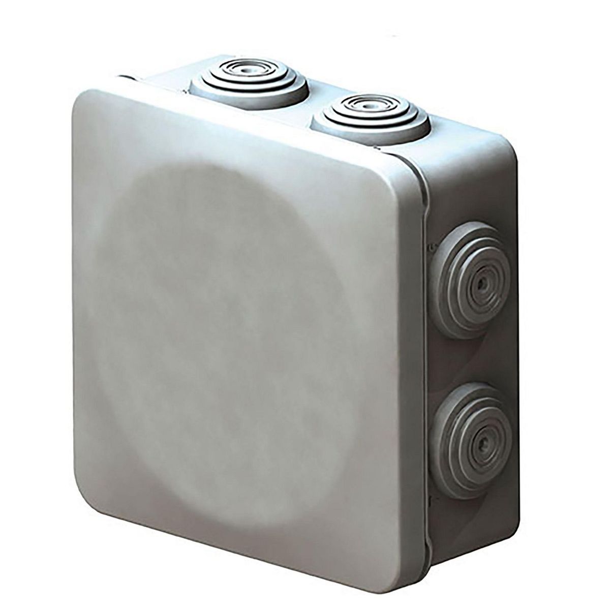 Caja Estancas Ip55, 100X100X45, marca Royer - Foto Principal