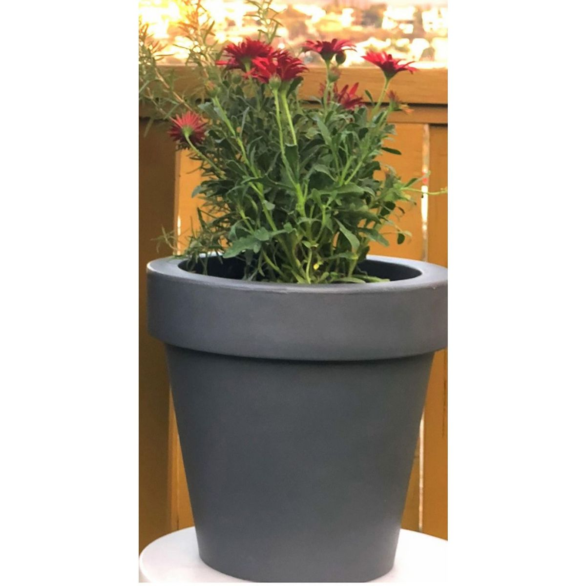 New Garden - Maceta Magnolia Gris 30x30x29 cm