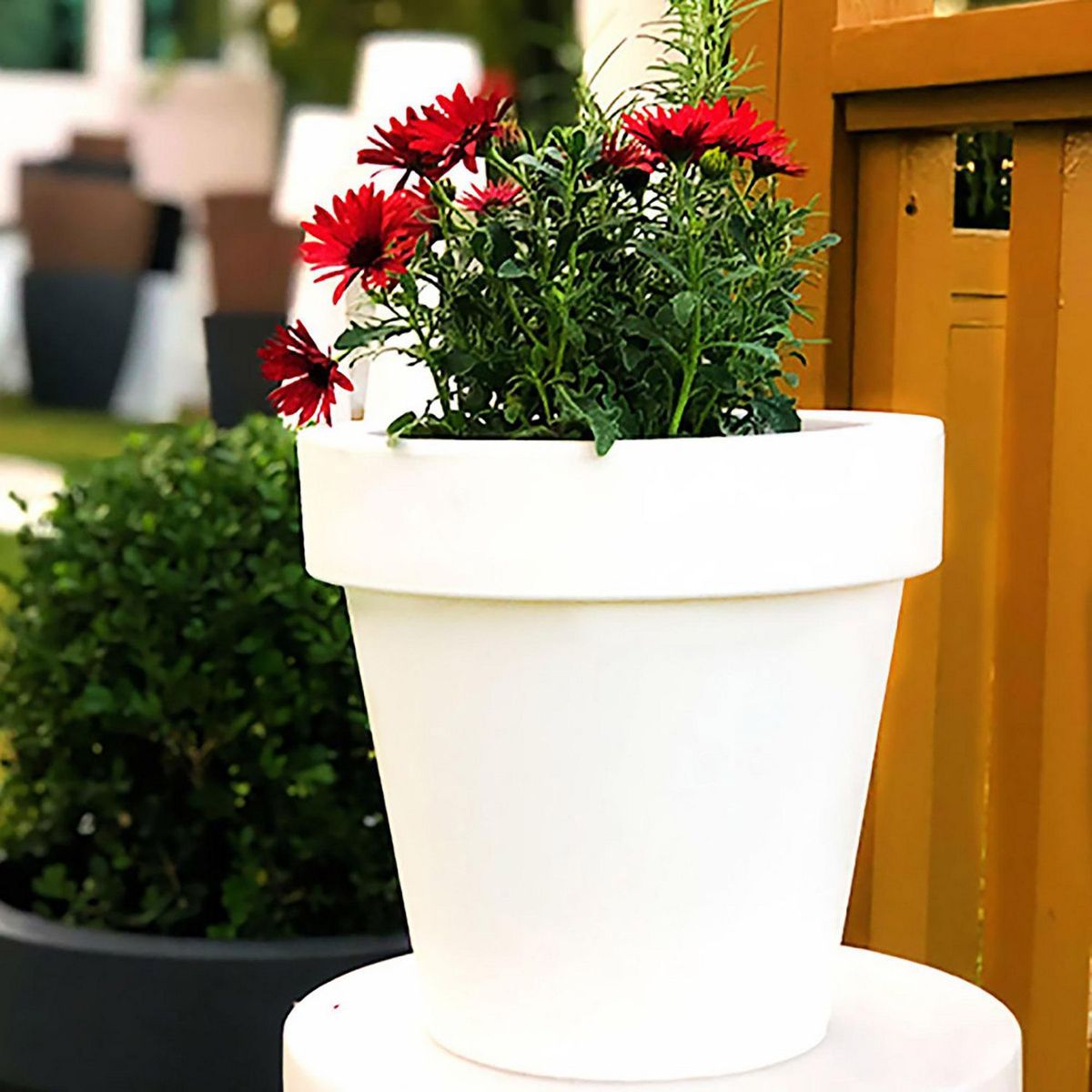 Maceta Magnolia Blanco 30x30x29 cm, marca New Garden - Foto 2