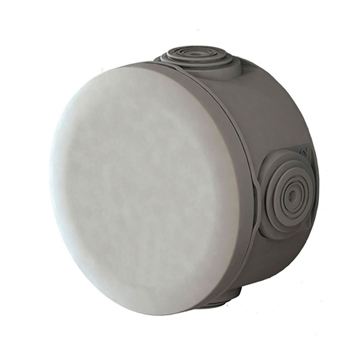 Royer - Caja Estancas Red Ip 55 70X40