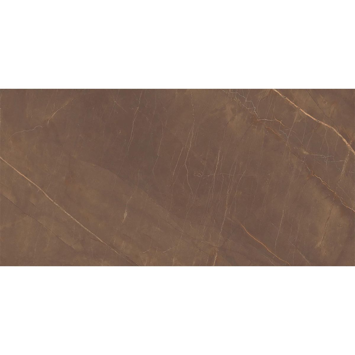 Tendenzza - Piso Porcelanato 60x120 Armani Bronz