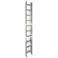 Escalera de extensión aluminio de 20 peldaños