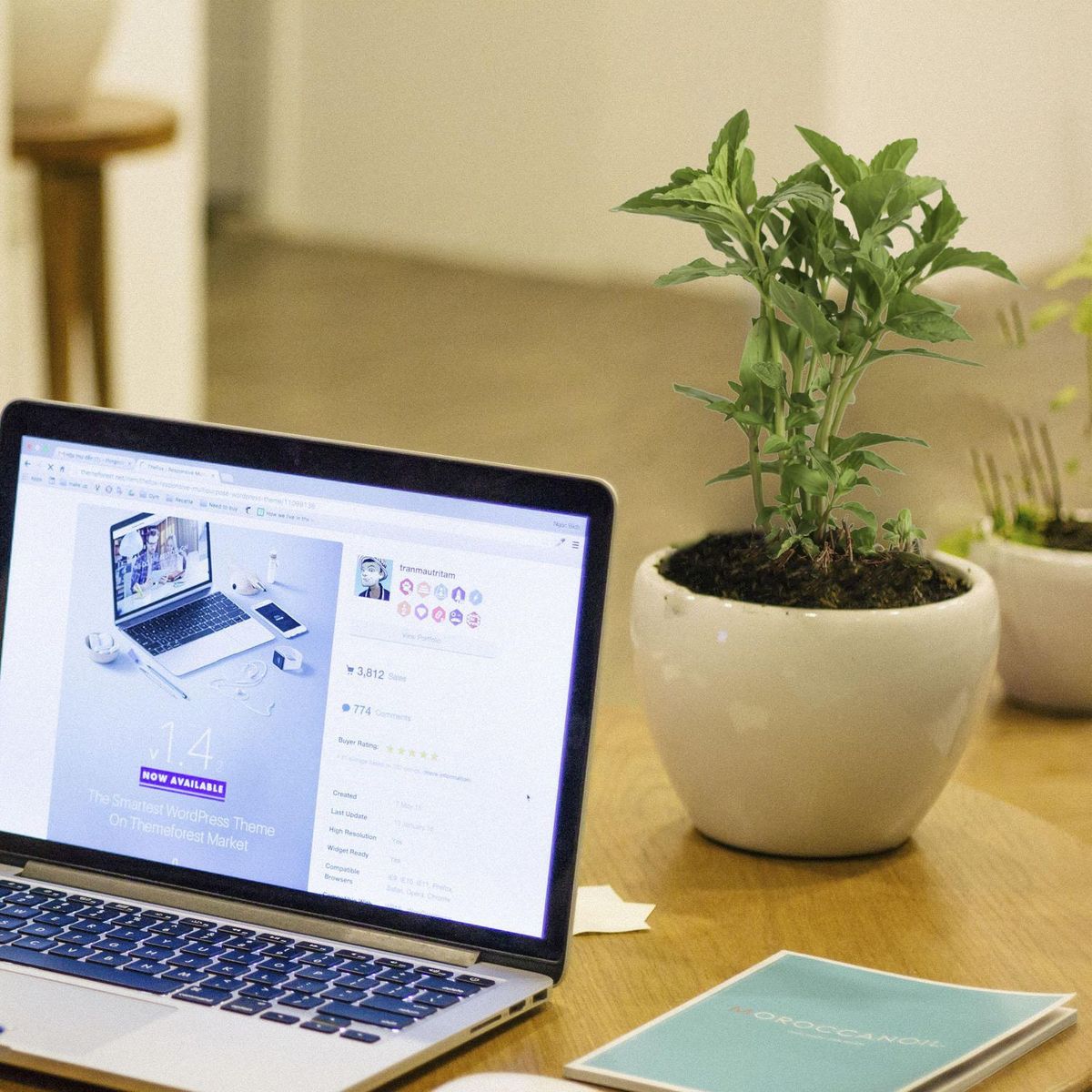 Conaplor - Planta Hierbabuena M04