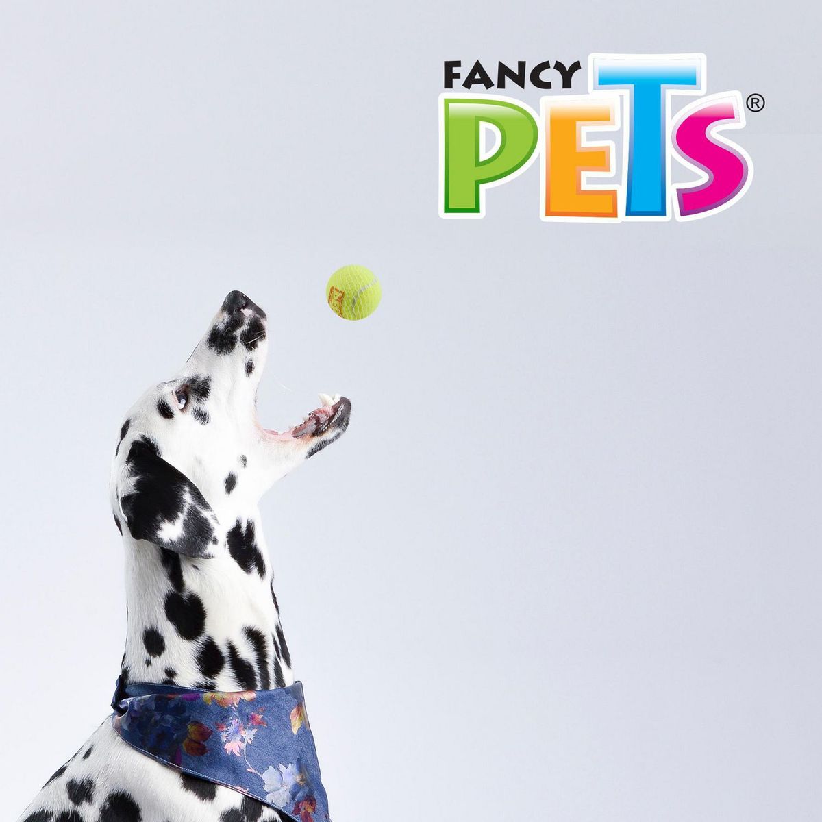 Fancy Pets - Pelota Chica de Tenis con Squeaker