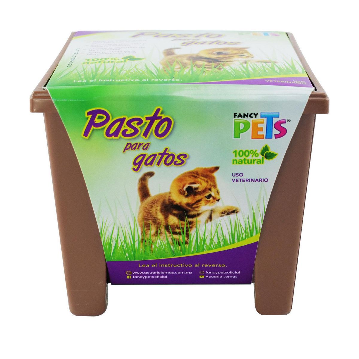 Fancy Pets - Pasto para Gatos
