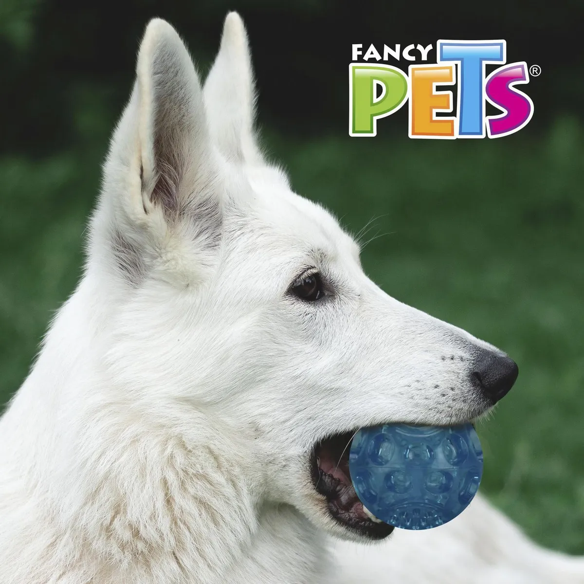 Fancy Pets - Pelota Flexible Chica con Sonido