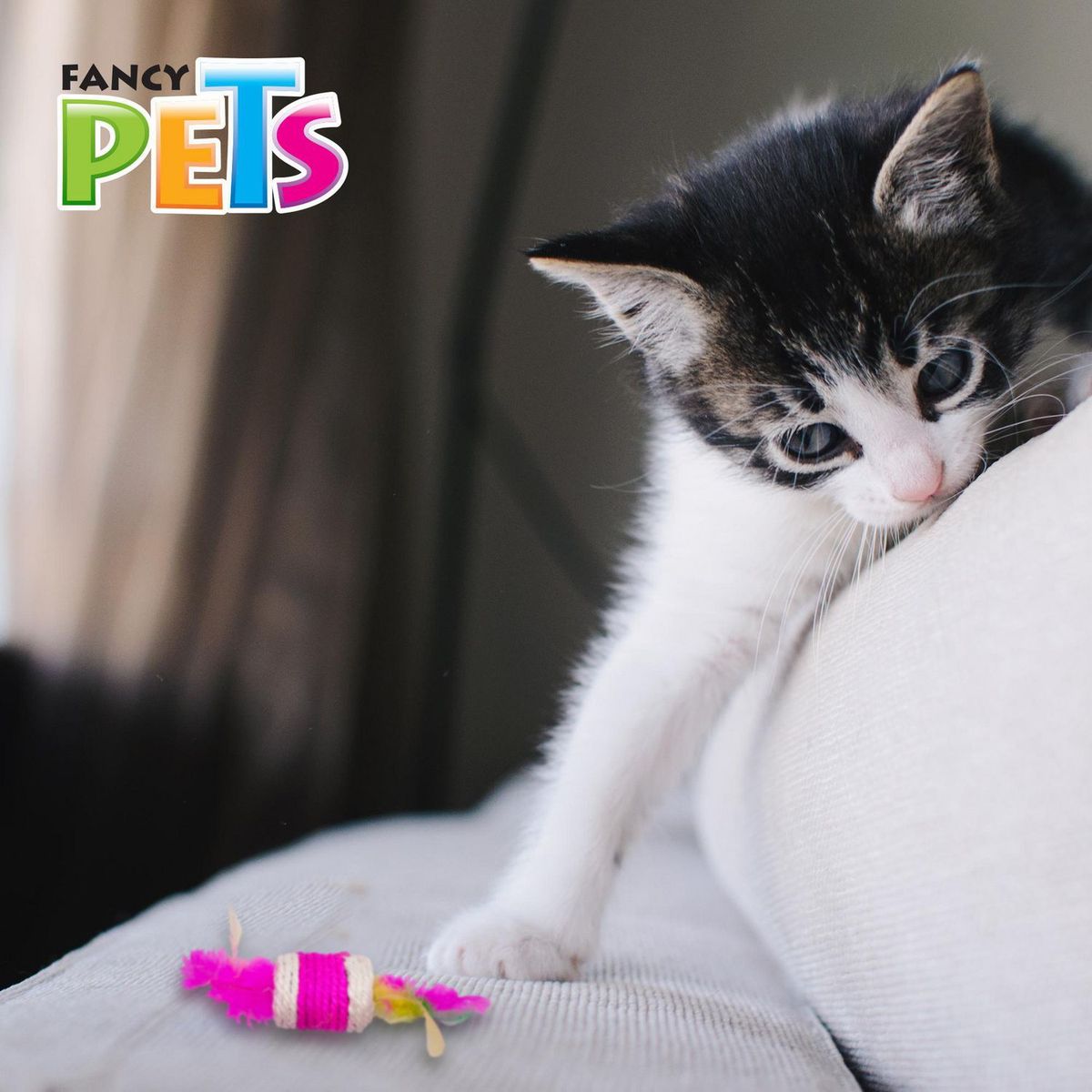 Fancy Pets - Juguete Cilindro con Plumas