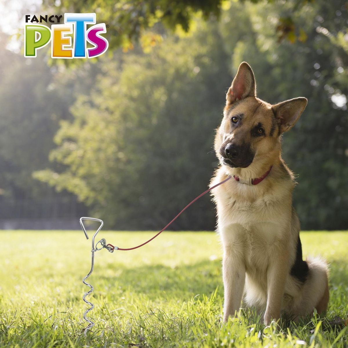 Estaca para Sujetar Mascota 40 cm, marca Fancy Pets - Foto 2