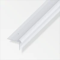 Escal Exterior Plata 3Mm X 40 X 30, 1M