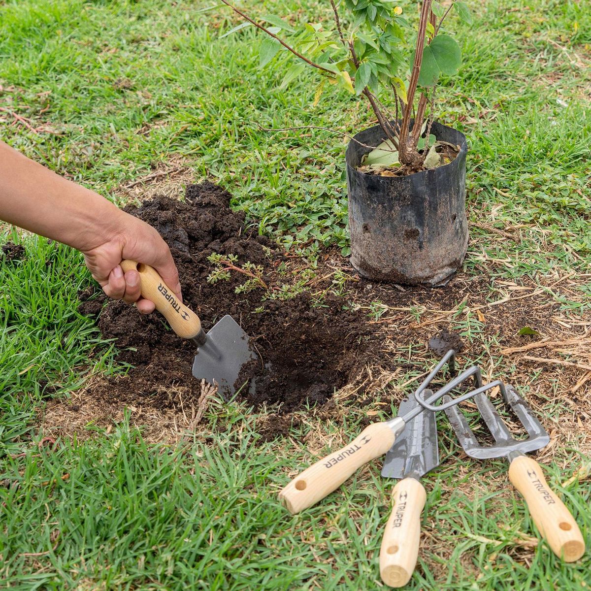 Juego Herramientas para Jardín 4 Piezas 6", marca Truper - Foto 2