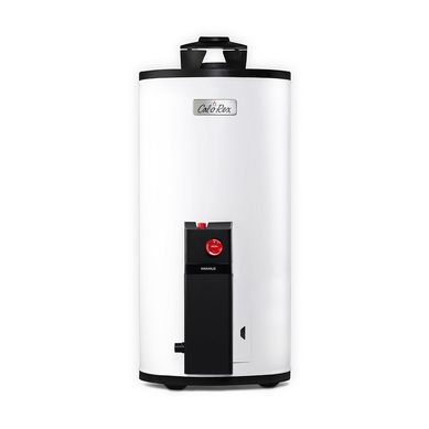 Calentador Calorex Dep�sito Maximus 10L Gas Natural