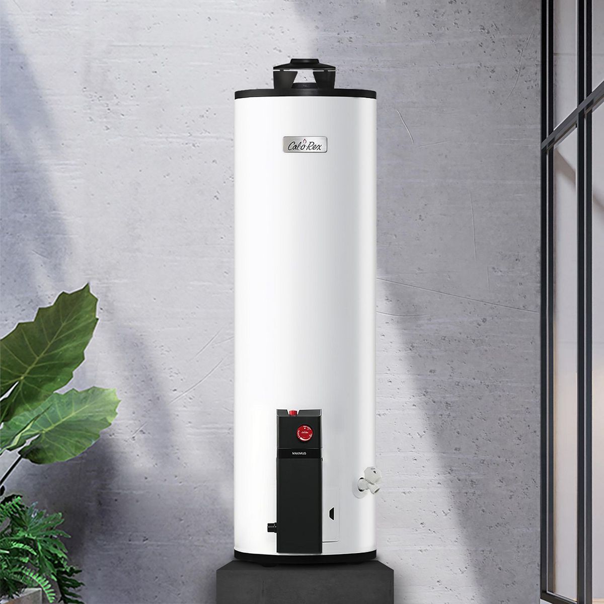 Calorex - Calentador Calorex Depósito Maximus 20 L Gas LP