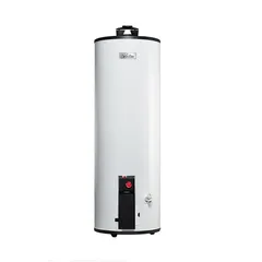 Calentador Calorex Depósito Maximus 60 L Gas LP