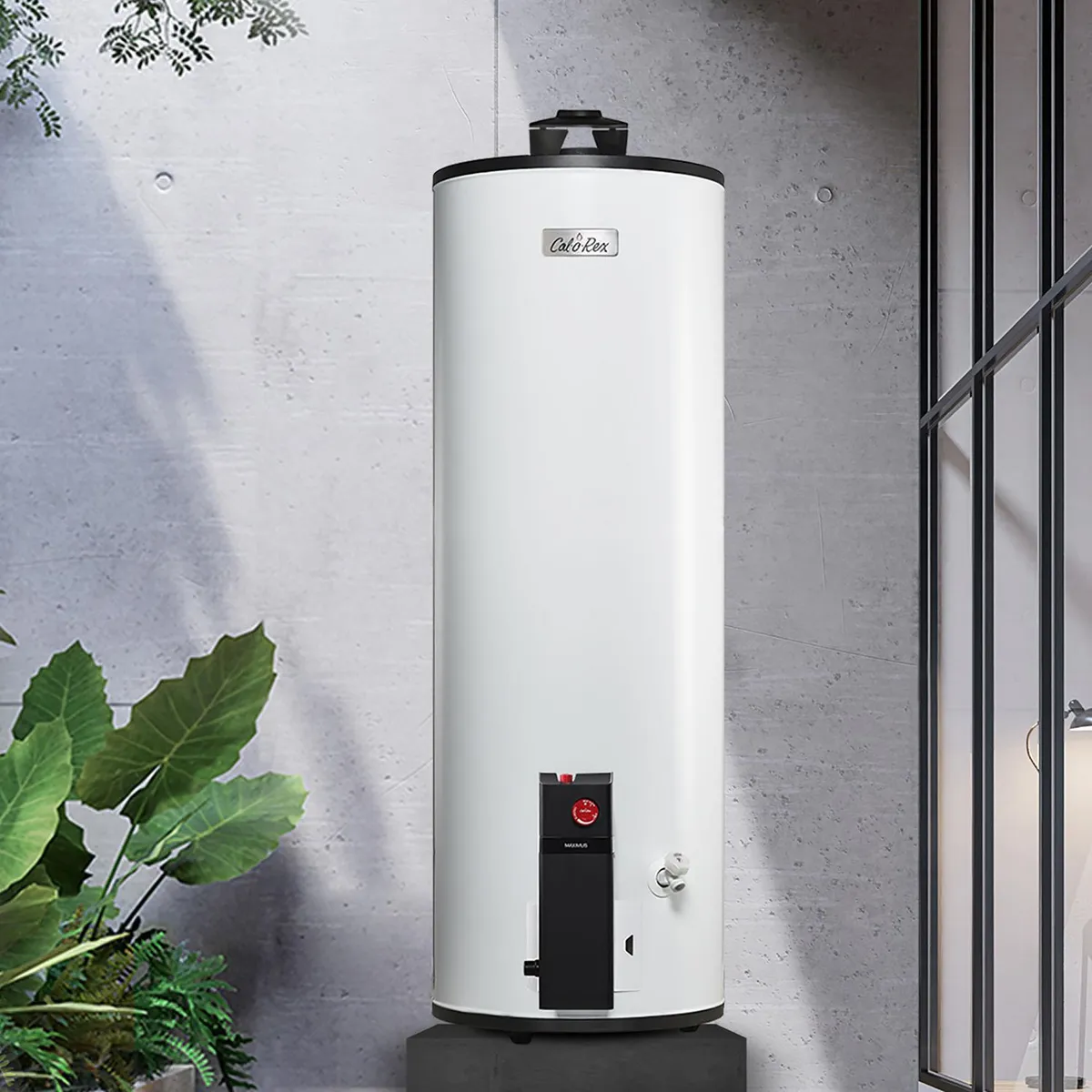 Calorex - Calentador Calorex Depósito Maximus 60 L Gas LP