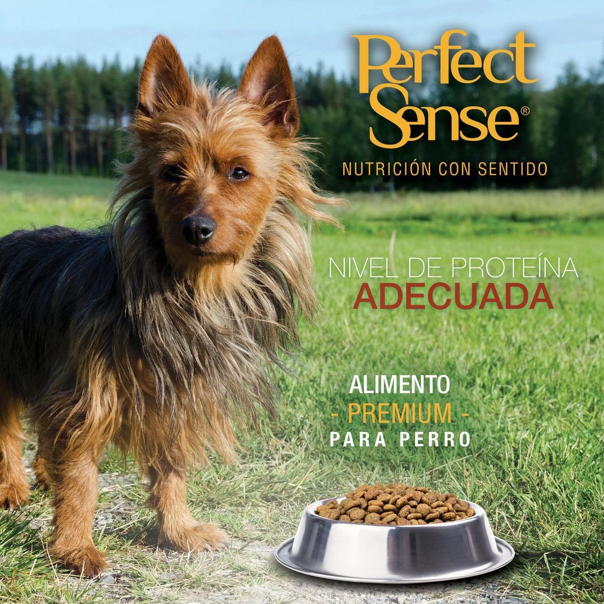 Alimento para Adulto Razas Chias Adulto 8 Kg, marca Perfect Sense - Foto 2