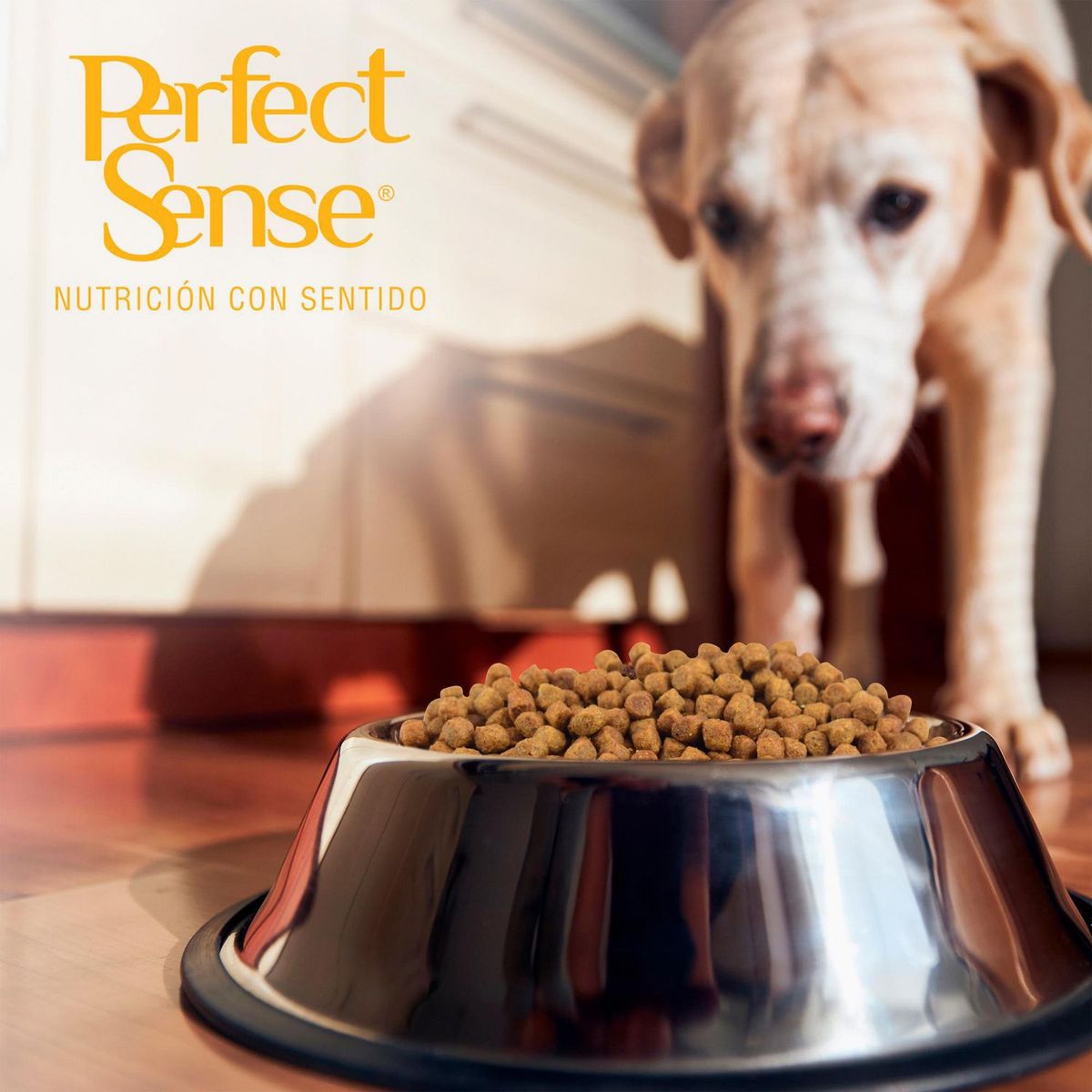 Perfect Sense - Alimento Senior para Mayores de 7 años 8 Kg