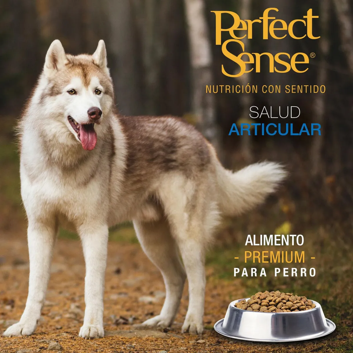 Perfect Sense - Alimento para Adulto Razas Grandes 8 kg
