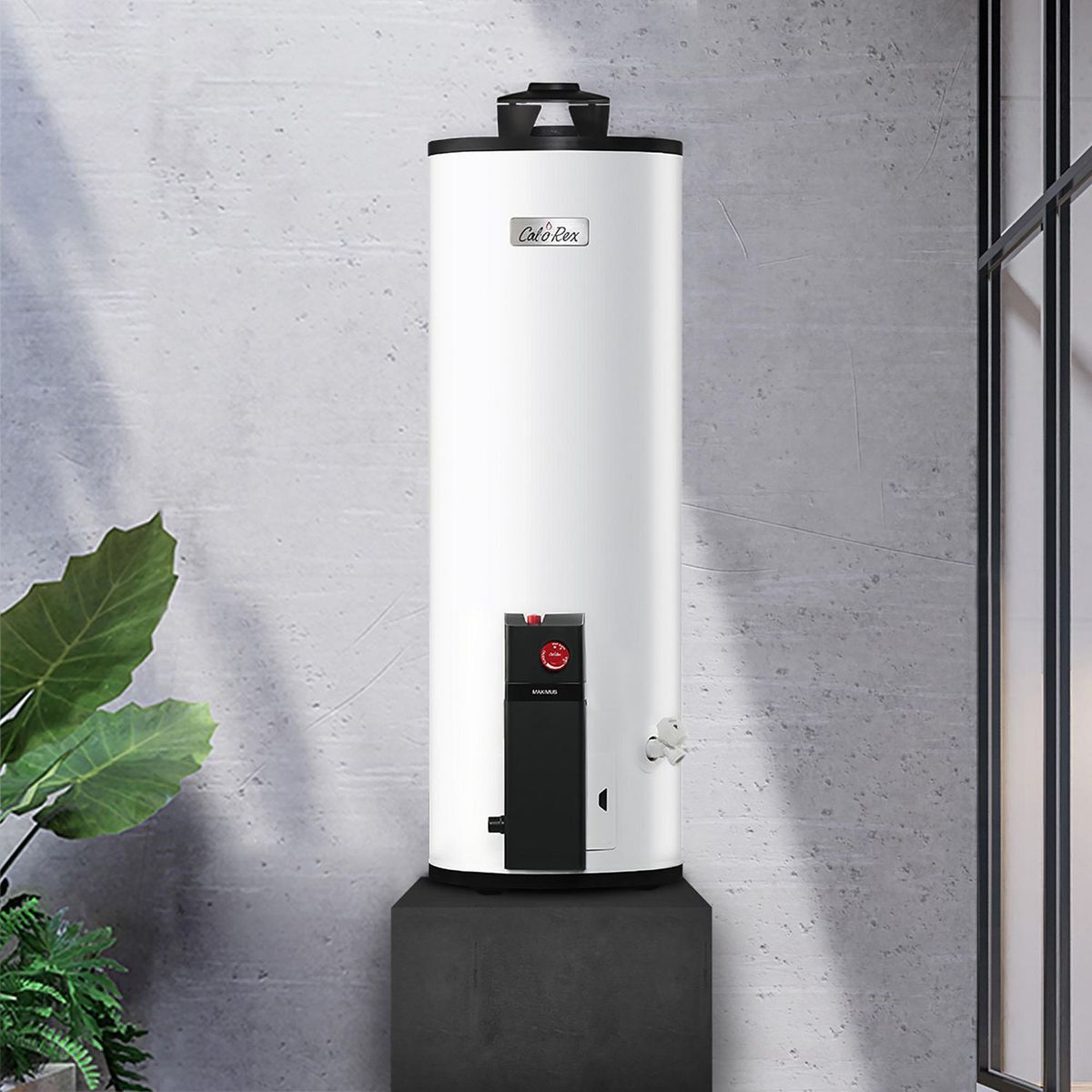 Calorex - Calentador Calorex Depósito Maximus 15 L Gas Natural