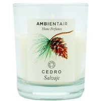 Vela Perfumada Aroma Cedro Ambientair 30h