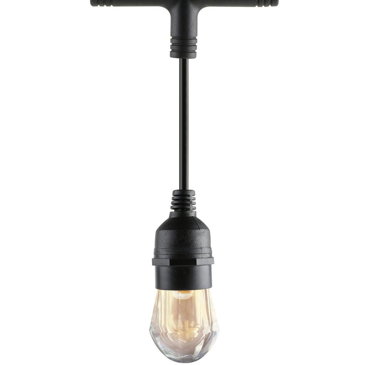 Serie de Luces con 12 Soquets 7.3 m, marca Aksi - Foto 2