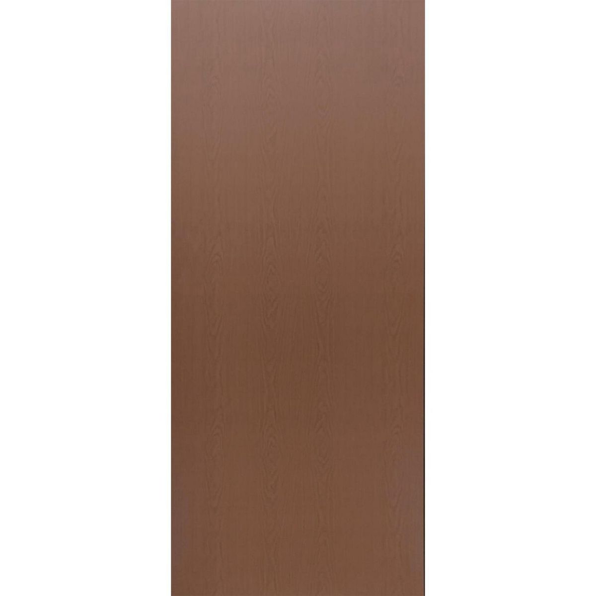 Provepuertas - Puerta de Acero Lisa de 90 x 213cm Castaño