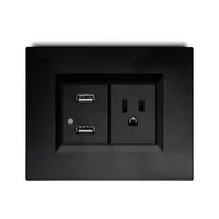 Contacto Mixto Amer. + 2 Puertos Usb de 2.1 Amp con Placa  Negra