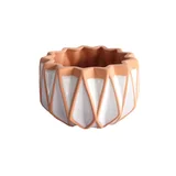 Maceta estrella chica