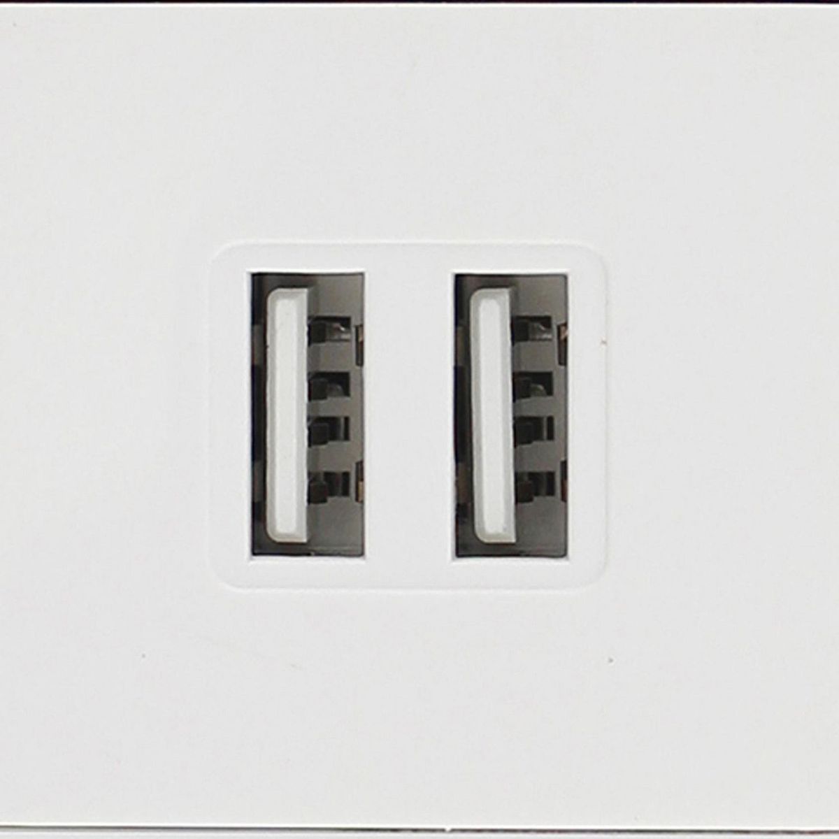 Placa Doble Usb y Contacto, marca Sanelec - Foto 2