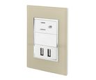 Placa Contacto Usb y Contacto Champagne