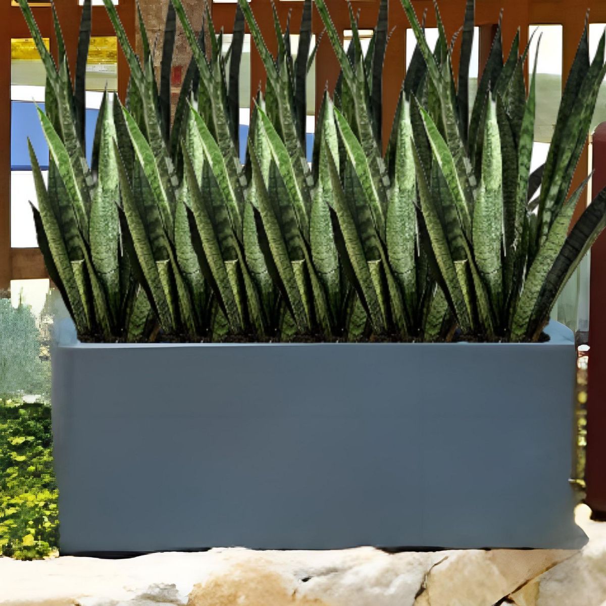 New Garden - Maceta jacaranda gris 100x40x40.