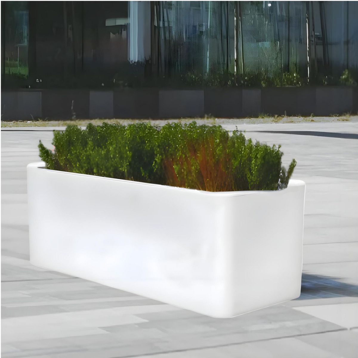 New Garden - Maceta jacaranda blanca 100x40x40.