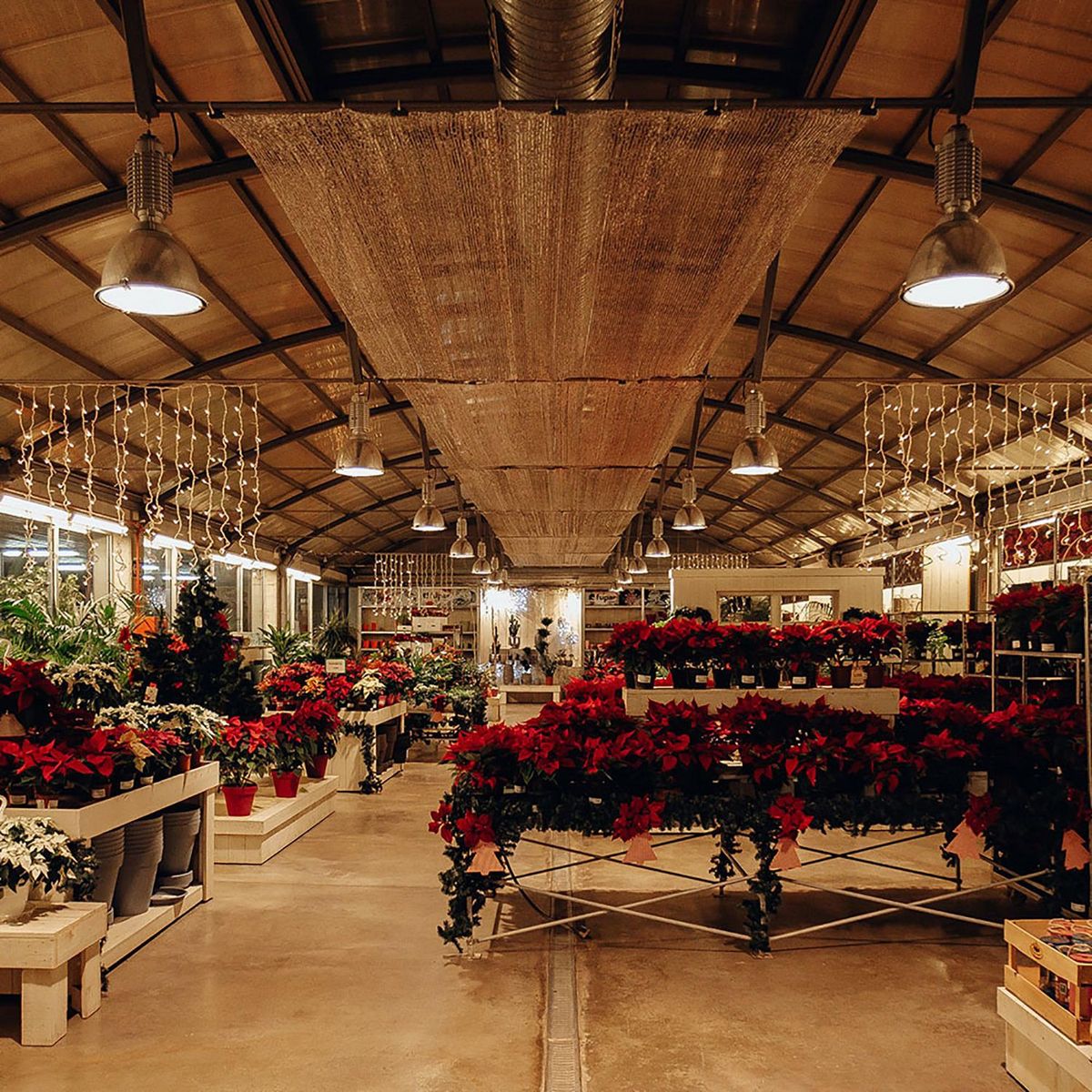 Aksi - Foco Led Alta Potencia E27