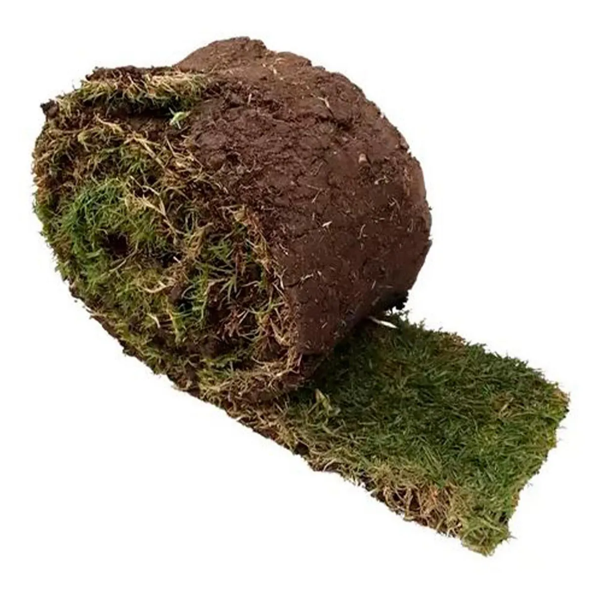 Conaplor - Pasto Natural en Rollo 1.65 m x 30 cm